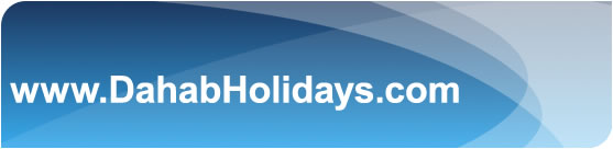 DH Logo